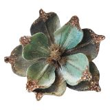 Elegant Ombre Flower Clip Sage 20cm 