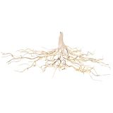 Sale Glitter Hanging Branch White 120cm 