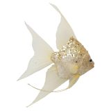 Angel fish Hanging Decoration Gold 26cm 