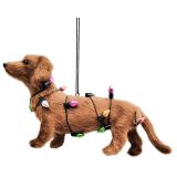 Sausage Dog with Lights Hanging Decorati