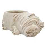 Fable Bulldog Planter Bisque 21cm 