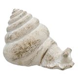 Fable Snail Ornament Bisque 16cm 