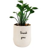 Sale Positivity Quote Thank You Potted P