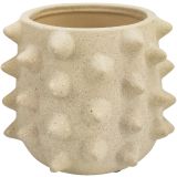 Sale Isaac Spike Planter White Sm 12cm 