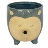 Hedgehog Planter Blue Lg 14.5cm 