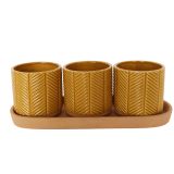 Sale Zari Planters on Saucer Mustard H8c