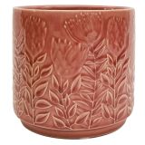 Protea Planter Pink 14cm 