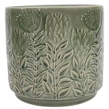 Protea Planter Sage 17cm 