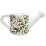Strawberry Fields Watering Can Planter R