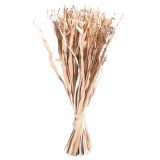 Sale Dried Flowers Foliage Bunch Natura