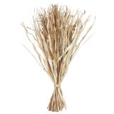 Sale Dried Flowers Foliage Bunch Natura