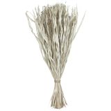 Sale Dried Flowers Foliage Bunch Grey 8