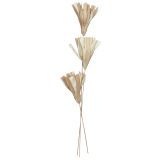 Sale Dried Fire Leaf Flowers Triple Stem