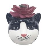 Mini Cat Planter with Plant Black & Whit