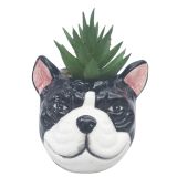 Mini Bulldog Planter with Plant Black & 
