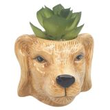 Mini Dog Planter with Plant Tan 10cm 