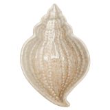 Reef Shell Dish Bisque 14cm 