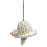 Reef Shell Bell Bisque 11cm 