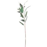 Sale Gum Leaves Stem Green 74cm 