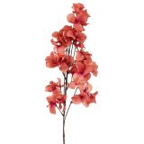 Sale Dried Look Bougainvillea Stem Light