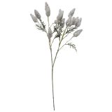 Sale Dried Look Foxtail Grass Stem Grey 
