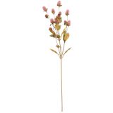 Sale Dried Look Globosa Stem Pink Gree