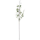 Sale Variegated Popla Branch Green 100cm