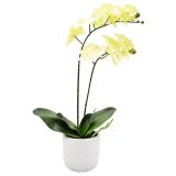 Sale Orchid Potted Flower Cream 51cm 