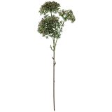 Sale Star Flower Stem Green 76cm 