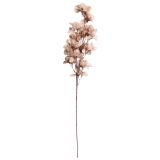 Sale Dried Look Bougainvillea Stem Grey 