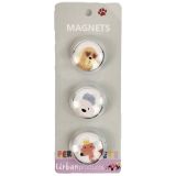 Sale Perfect Pets Dogs Magnets Colourful