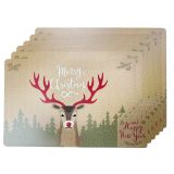 Reindeer Placemats and Coasters Brown & 