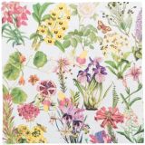 Botanicals Napkins Blue 33x33cm S/20