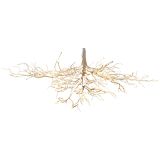 Sale Glitter Hanging Branch White 180cm 