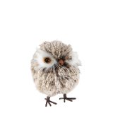 Woodsy Owl Hanging Decoration B