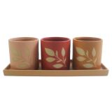 Sale Shae Foliage Planters on Tray Pink,