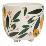 Sale Evergreen Planter Yellow & Green Sm