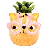 Tropicana Cat Pineapple Vase Orange 1
