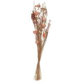 Dried Floral Bouquet Peach 60cm 
