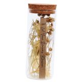Dried Floral Let Your Dreams Blossom Gla