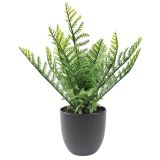 Fern Plant Green 29cm 