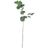 Eucalyptus Leaves Stem Green 69cm 