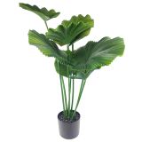Sale Alocasia Plant Green 109cm 