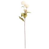 Chrysanthemum Stem White  Green 60cm 