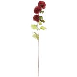 Chrysanthemum Stem Red  Green 60cm 