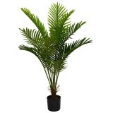 Kawi Palm Plant Green 90cm 