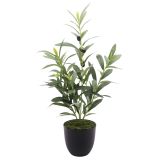 Olive Plant Green 51cm 