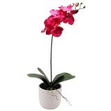Orchid Potted Flower Pink 51cm 