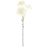 Sale Star Flower Stem White 76cm  