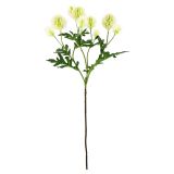 Chrysanthemum Bunch Stem Cream 56cm 